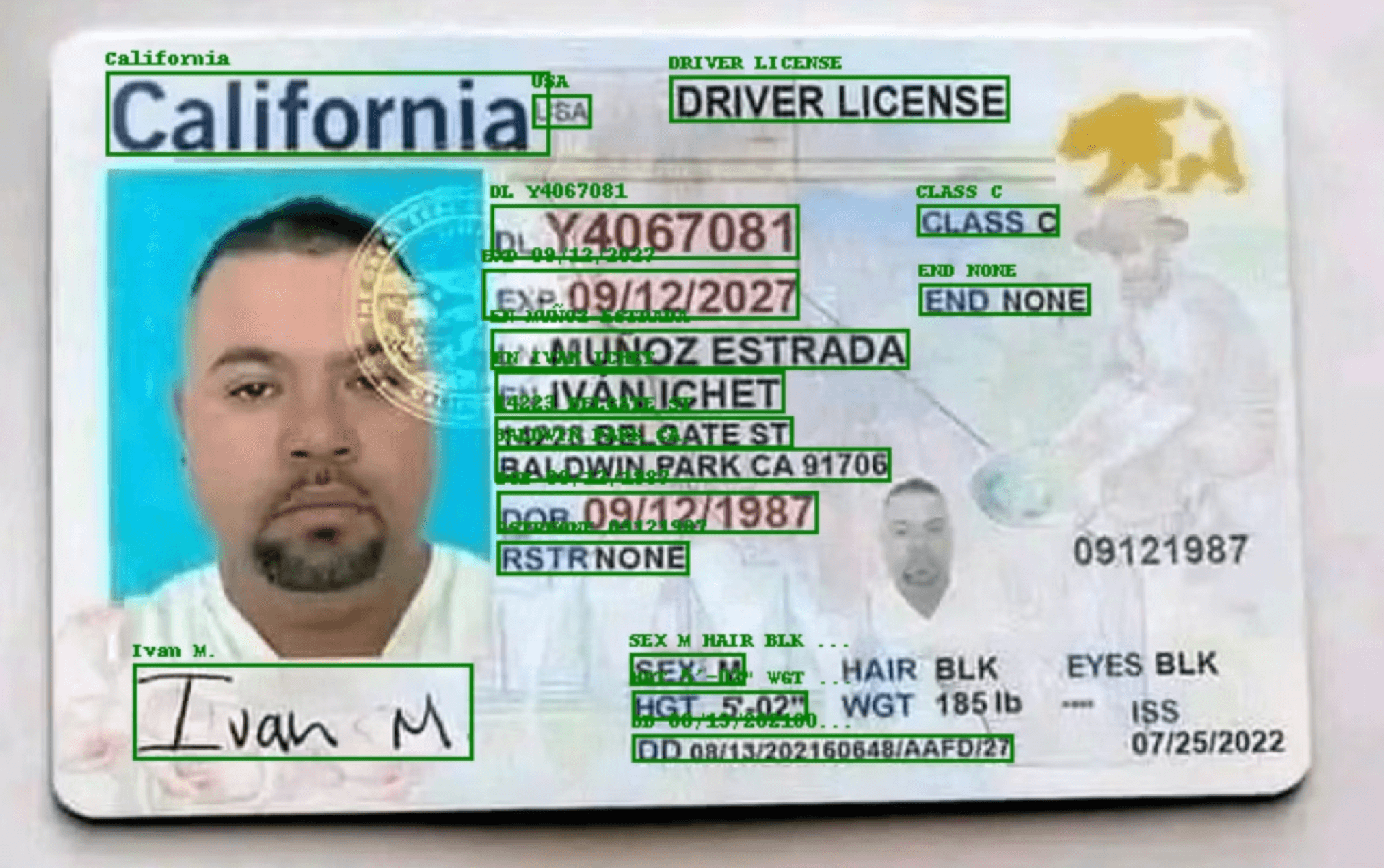 ID bounding boxes mapped